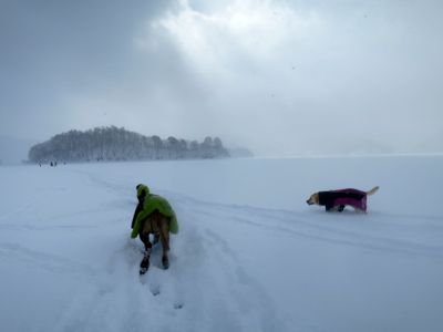 2014 桧原湖の旅 第1弾_e0192217_12813100.jpg