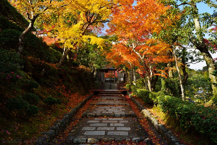 京都 化野念仏寺 ～紅葉～_d0319222_10172150.jpg