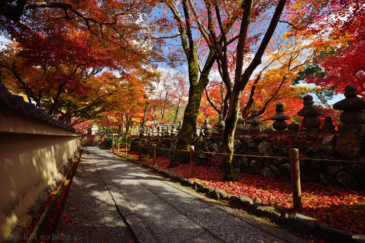 京都 化野念仏寺 ～紅葉～_d0319222_10174785.jpg