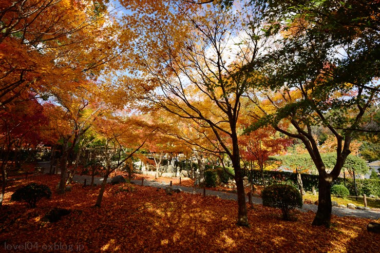 京都 化野念仏寺 ～紅葉～_d0319222_101754.jpg