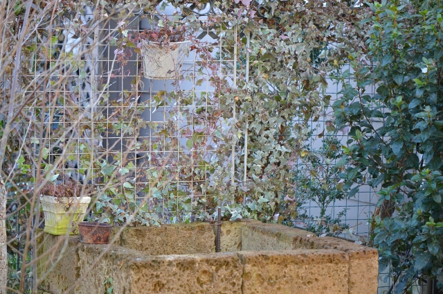 d0272423_20282583.jpg