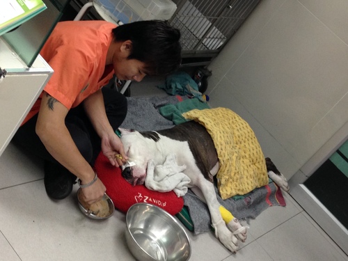 タイ出張その2_d0156734_05206.jpg