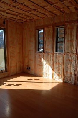 b0082242_11351036.jpg
