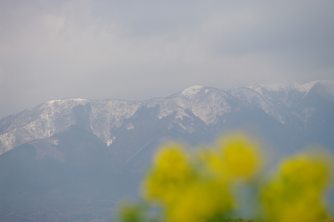もう春か!? 守山 なぎさ公園..._f0152550_21443955.jpg
