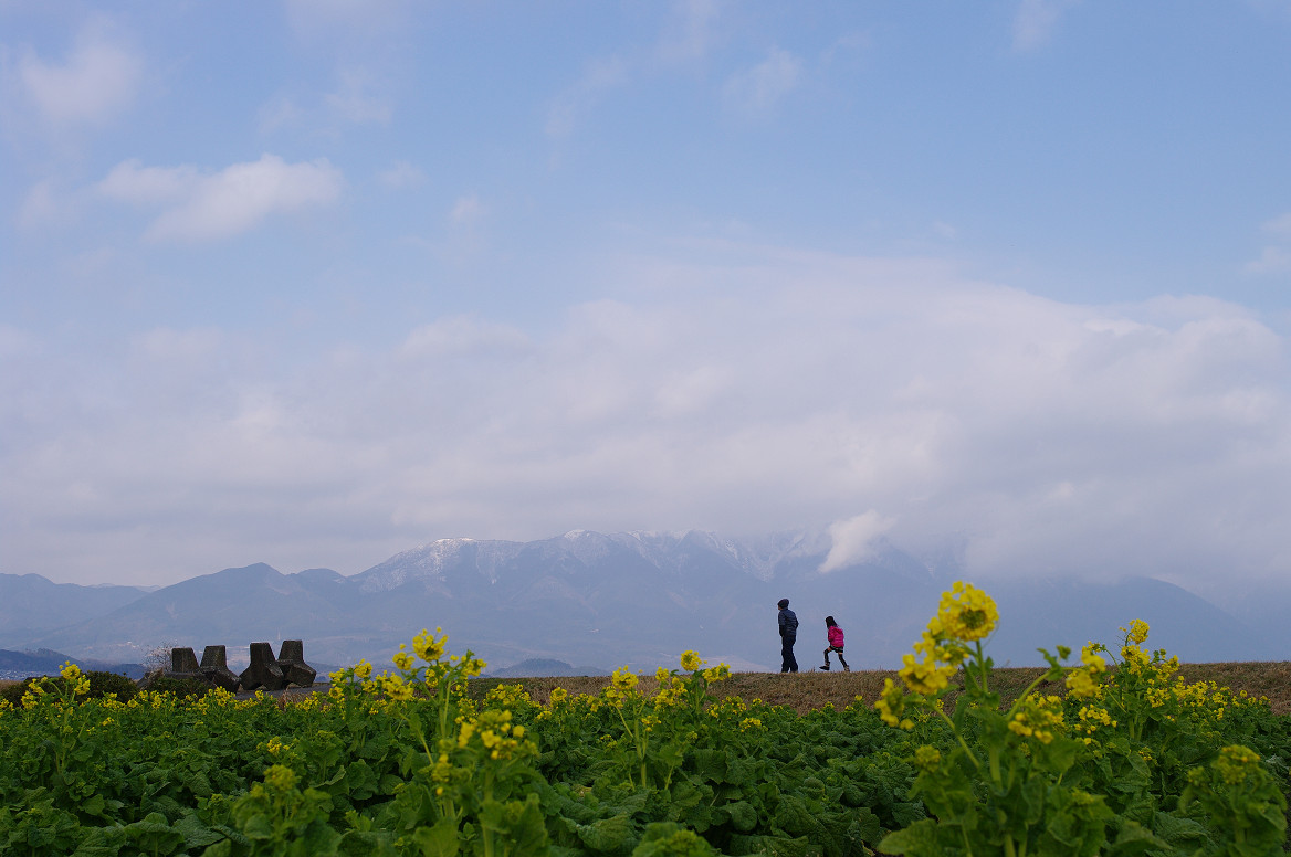 もう春か!? 守山 なぎさ公園..._f0152550_21452513.jpg