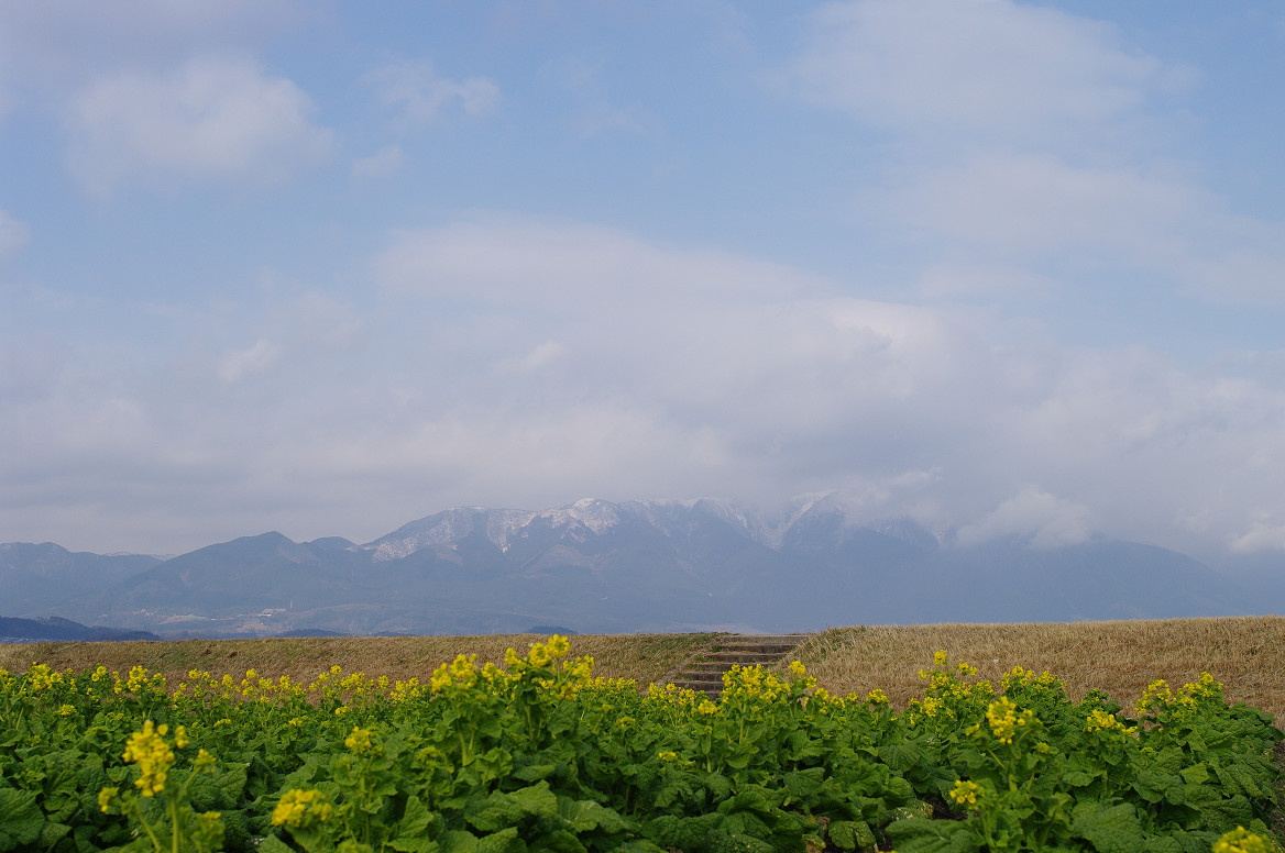もう春か!? 守山 なぎさ公園..._f0152550_2145919.jpg
