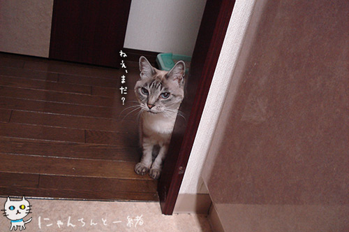 ちらっ_e0031853_2029589.jpg