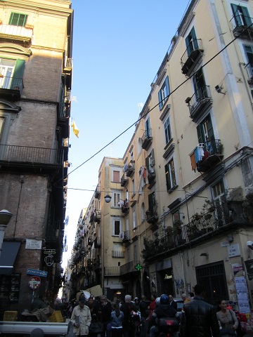 d0158258_87843.jpg