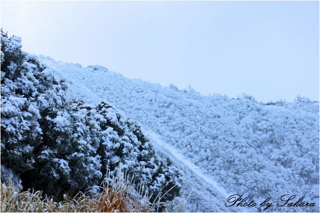 涌蓋山登山するの記_d0102968_82721100.jpg