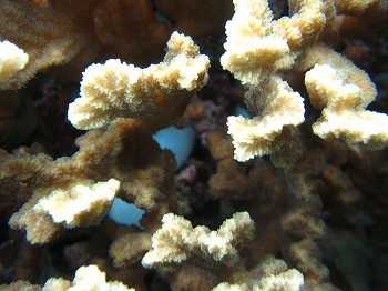 e0096370_17214786.jpg