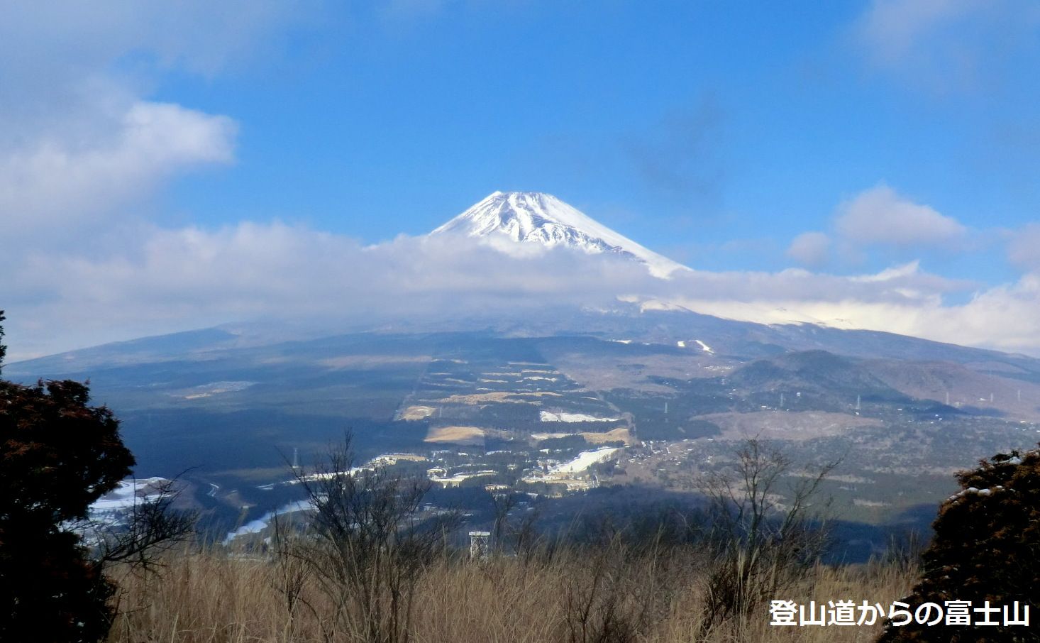 No327 富士南山麓・愛鷹山系最高峰・越前岳_b0185573_20241158.jpg