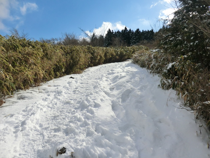 No327 富士南山麓・愛鷹山系最高峰・越前岳_b0185573_21132533.jpg