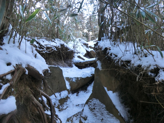 No327 富士南山麓・愛鷹山系最高峰・越前岳_b0185573_21265290.jpg