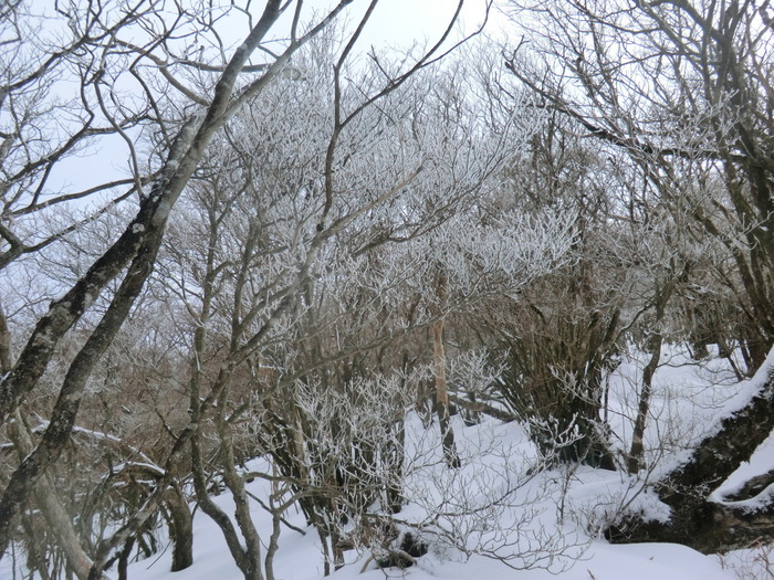 b0185573_21305149.jpg