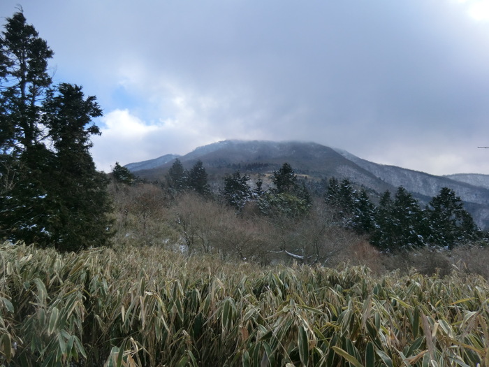 No327 富士南山麓・愛鷹山系最高峰・越前岳_b0185573_22232648.jpg