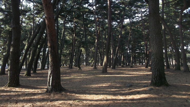 c0212083_2152295.jpg