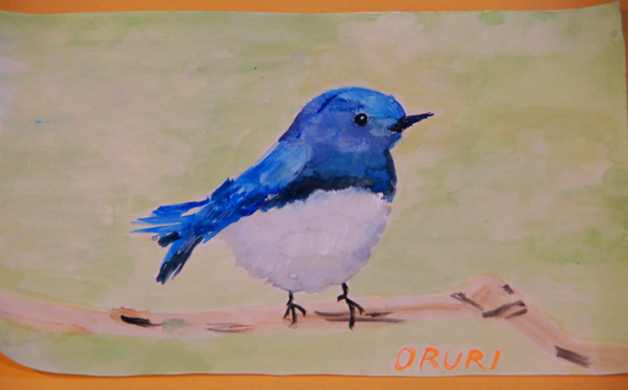青い鳥～オオルリを水彩画で☆_c0139591_7354462.jpg