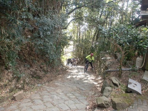 d0115997_2322610.jpg