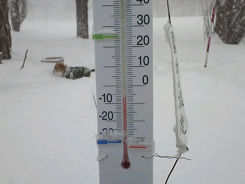 新しい雪中温度計_d0256800_043343.jpg