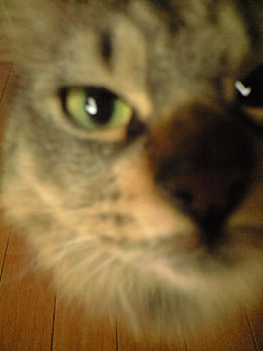 c0035001_15545631.jpg