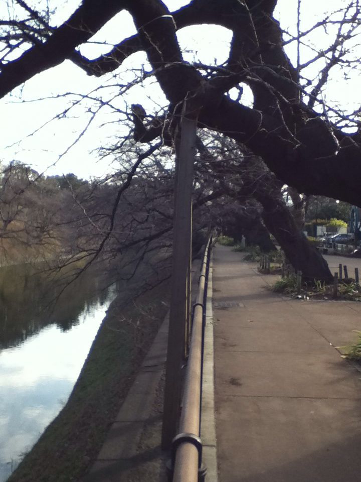 e0322201_11491812.jpg