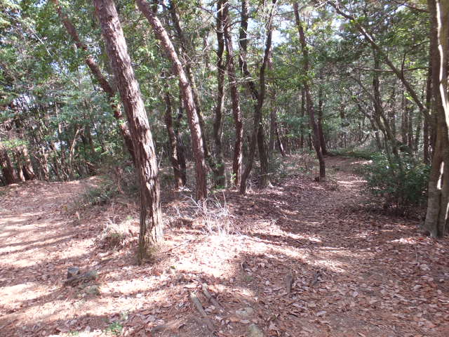 a0271502_18403537.jpg