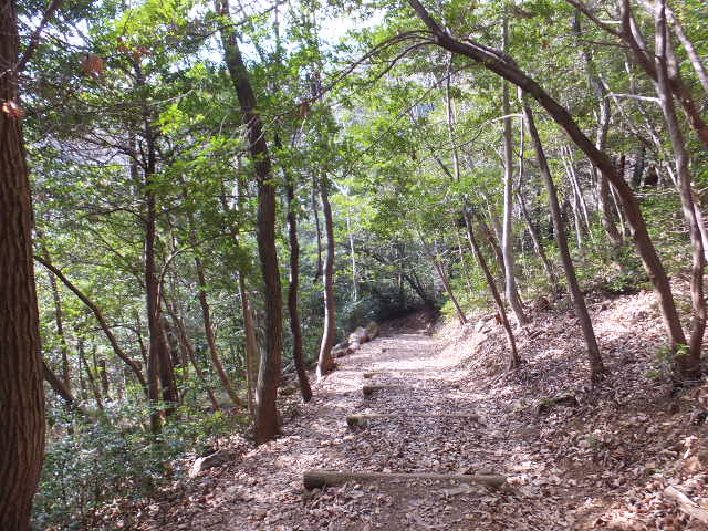 a0271502_18504217.jpg