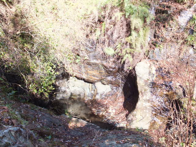 a0271502_1901287.jpg