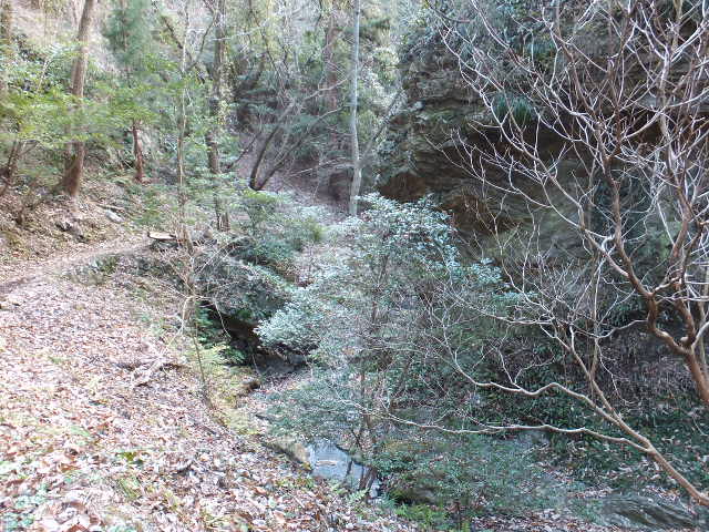 a0271502_1963751.jpg