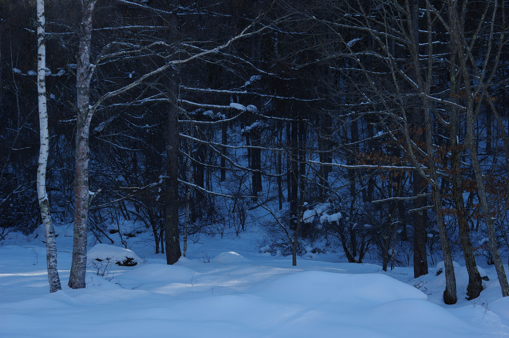 『雪の御射鹿池（みしゃかいけ）』_b0244602_22492137.jpg