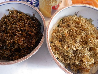 c0280206_856229.jpg