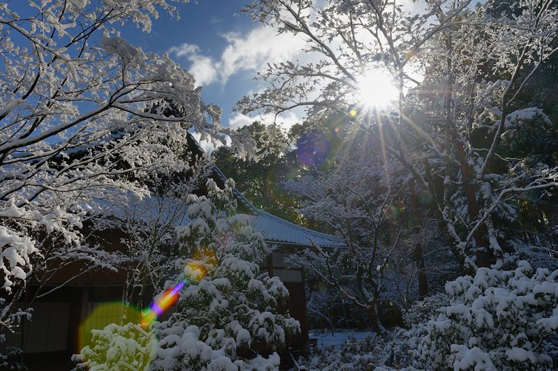 京都の町に雪が積もったぞ~!大徳寺塔頭 高桐院・其の二_f0032011_19324261.jpg
