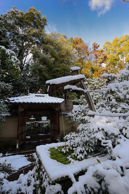京都の町に雪が積もったぞ~!大徳寺塔頭 高桐院・其の二_f0032011_19325114.jpg