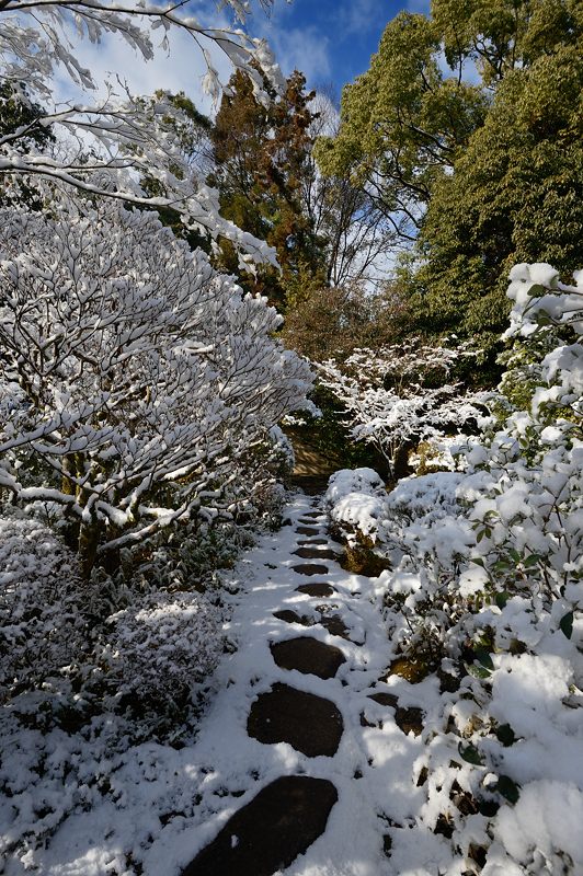 京都の町に雪が積もったぞ~!大徳寺塔頭 高桐院・其の二_f0032011_19331452.jpg