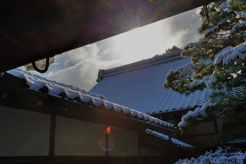 京都の町に雪が積もったぞ~!大徳寺塔頭 高桐院・其の二_f0032011_19333250.jpg