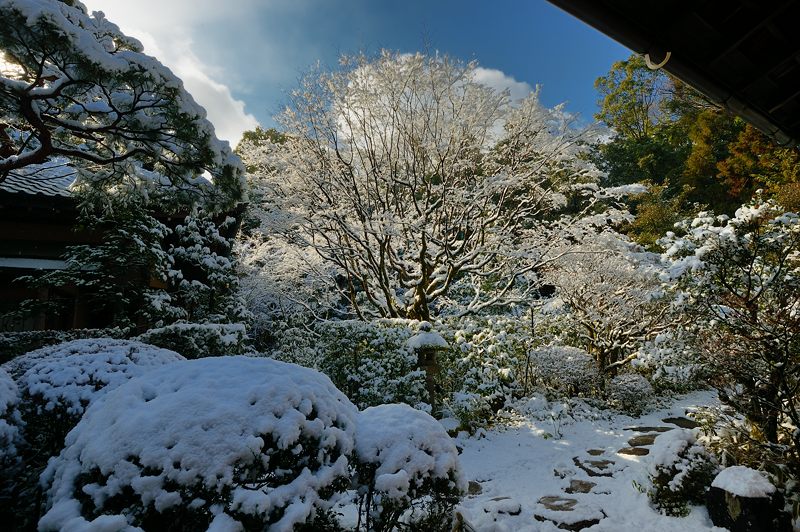 京都の町に雪が積もったぞ~!大徳寺塔頭 高桐院・其の二_f0032011_19334974.jpg