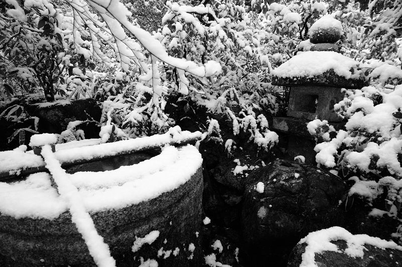 京都の町に雪が積もったぞ~!大徳寺塔頭 高桐院・其の二_f0032011_193351.jpg