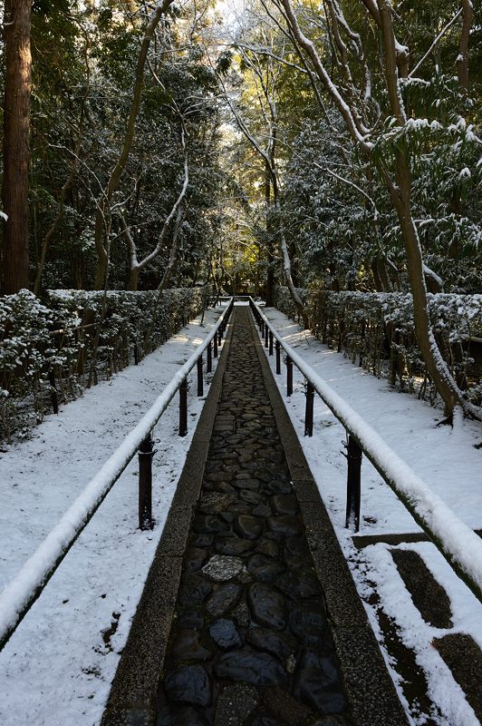 京都の町に雪が積もったぞ~!大徳寺塔頭 高桐院・其の二_f0032011_19345039.jpg