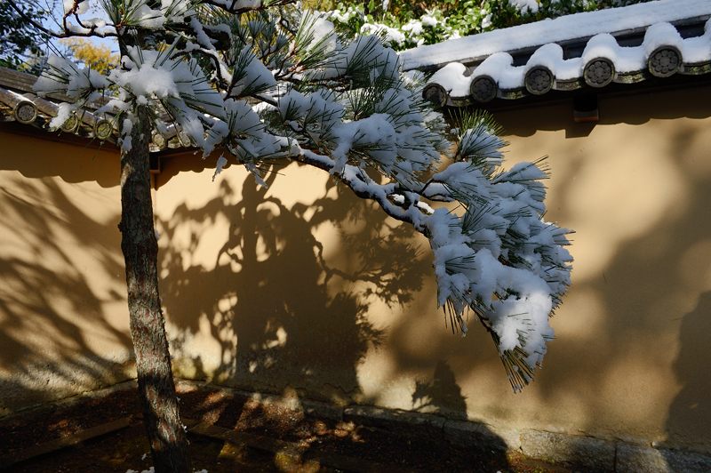 京都の町に雪が積もったぞ~!大徳寺塔頭 高桐院・其の二_f0032011_19345935.jpg