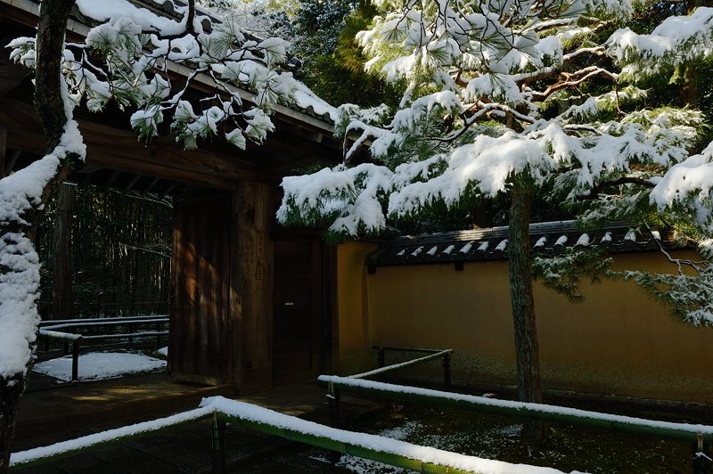 京都の町に雪が積もったぞ~!大徳寺塔頭 高桐院・其の二_f0032011_2031551.jpg