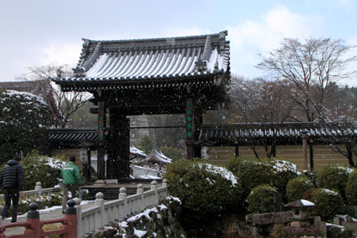 妙満寺雪の庭 14雪けしき6_e0048413_19583574.jpg