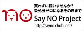 Say NO Project リフレクタ―迷子札のご紹介_d0046821_11492223.jpg