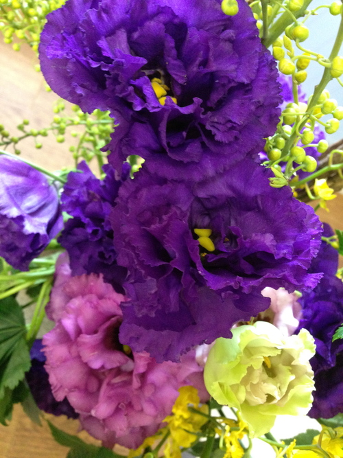 今週のお花&セール情報_a0200423_19264198.jpg