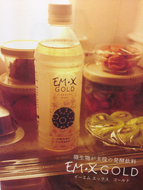 今週のお花&セール情報_a0200423_1952983.jpg