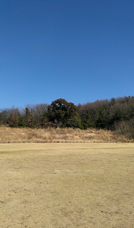 a0187426_12324810.jpg