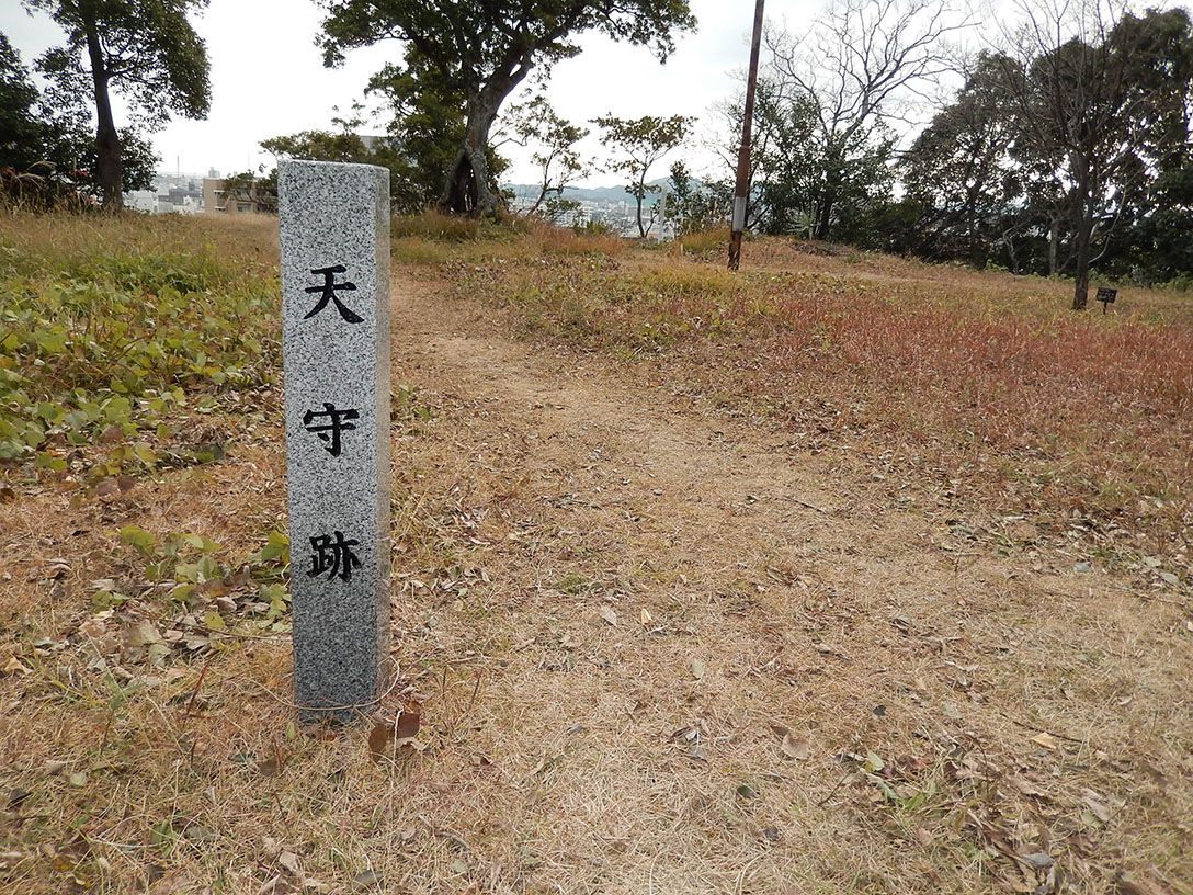 年の瀬の阿波国紀行備忘録 その2 「徳島城跡」_e0158128_22155095.jpg