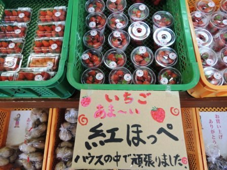 連日大盛況!促成いちご「紅ほっぺ」_b0206037_15501678.jpg