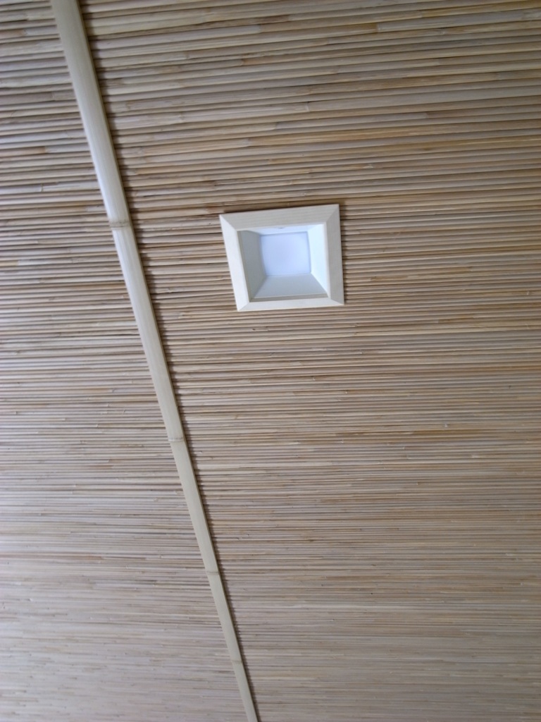 f0176239_13453359.jpg