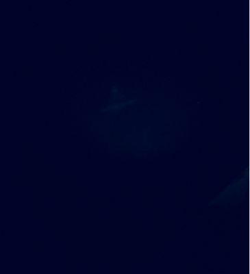 c0182843_20232898.jpg