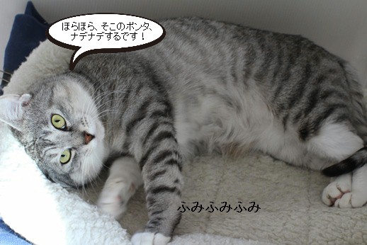 甘え方は控えめに_e0151545_20263712.jpg
